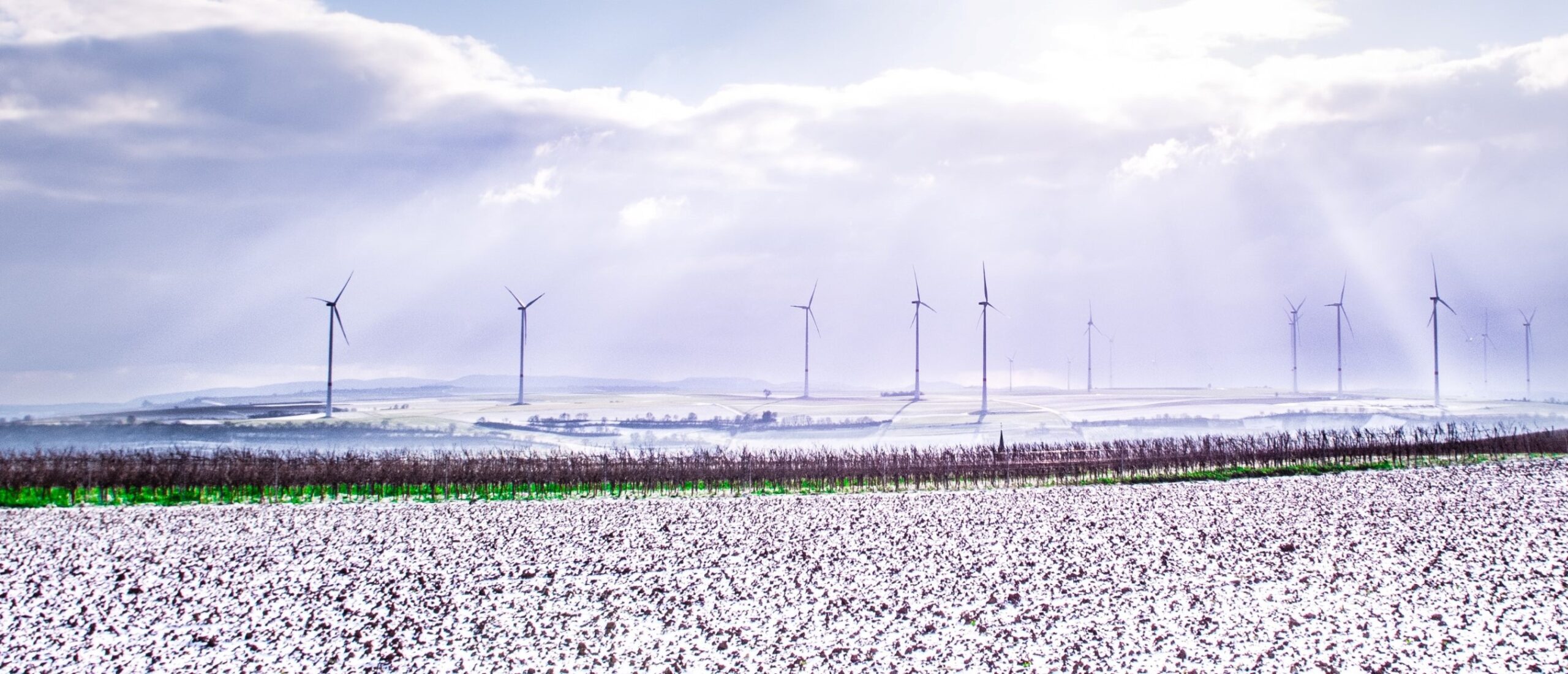 New Study by ArcVera Shows Texas Icing Led to Over $4 Billion Loss for Wind Farms